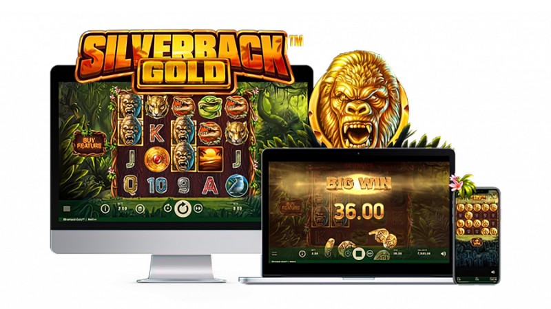 Netentertainment goes on some sort of jungle jaunt in Silverback Gold pokie