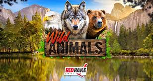 Reddish Rake Gambling obeys the phone call of mother nature with brand new Wild Animals Pokie